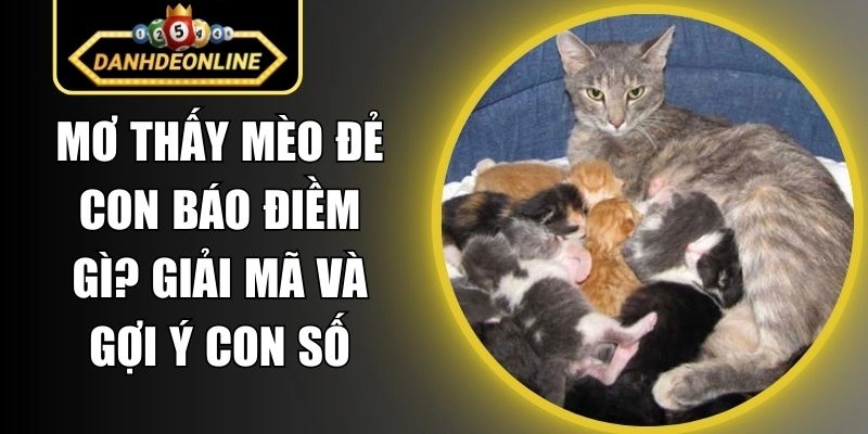 Mơ Thấy Mèo Đẻ Con