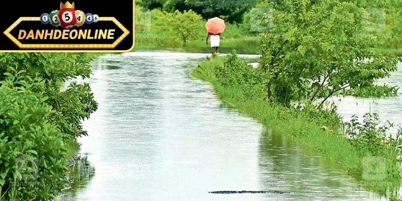 Mơ thấy nước lũ nhưng nước trong xanh có ý nghĩa ra sao?